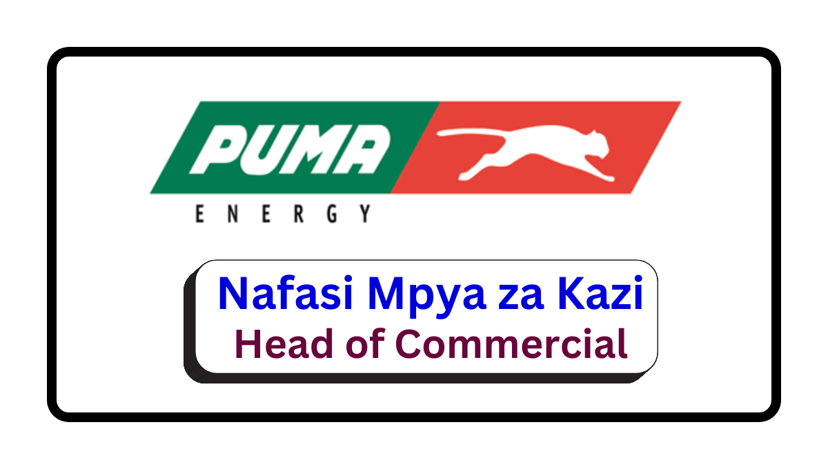 Nafasi za Kazi – Head of Commercial at Puma Energy