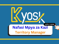 Nafasi za Kazi – Territory Manager at Kyosk.app February 2025