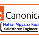 Nafasi za Kazi - Salesforce Engineer at Canonical