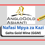 Nafasi 2 Za Kazi at Geita Gold Mine (GGM) February 2025