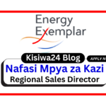 Nafasi za Kazi - Regional Sales Director at Energy Exemplar February 2025