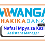 Nafasi za Kazi - Assistant Manager at Mwanga Hakika Bank
