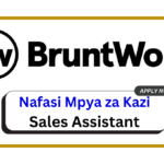 Nafasi za Kazi - Sales Assistant at BruntWork