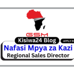 Nafasi za Kazi - Senior System Internal Auditor Vacancy at GSM February