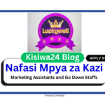 Nafasi za Kazi - Marketing Assistants and Go Down Staffs at Luckywell Limited March 2025