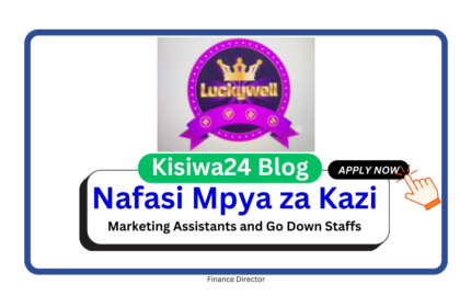 Nafasi za Kazi - Marketing Assistants and Go Down Staffs at Luckywell Limited March 2025