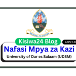 Nafasi 48 za Kazi at University of Dar es Salaam (UDSM) March 2025