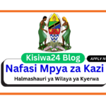 Nafasi 6 za Kazi Halmashauri ya Wilaya ya Kyerwa March 2025