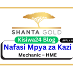 Nafasi za Kazi - Mechanic – HME at Shanta Gold March 2025