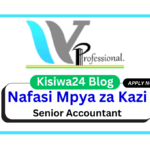 Nafasi za Kazi - Senior Accountant at Wajenzi Professional Co. Ltd March 2025