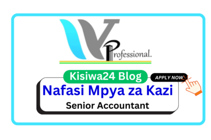 Nafasi za Kazi - Senior Accountant at Wajenzi Professional Co. Ltd March 2025
