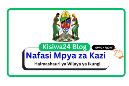 Nafasi za Kazi Halmashauri ya Wilaya ya Ikungi March 2025
