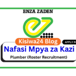 Nafasi za Kazi - Plumber (Roster Recruitment) at Enza Zaden Africa March 2025