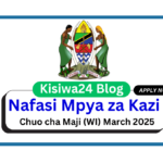 Nafasi 17 za Kazi Chuo cha Maji (WI) March 2025