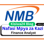 Nafasi za Kazi - Finance Analyst at NMB Bank March 2025
