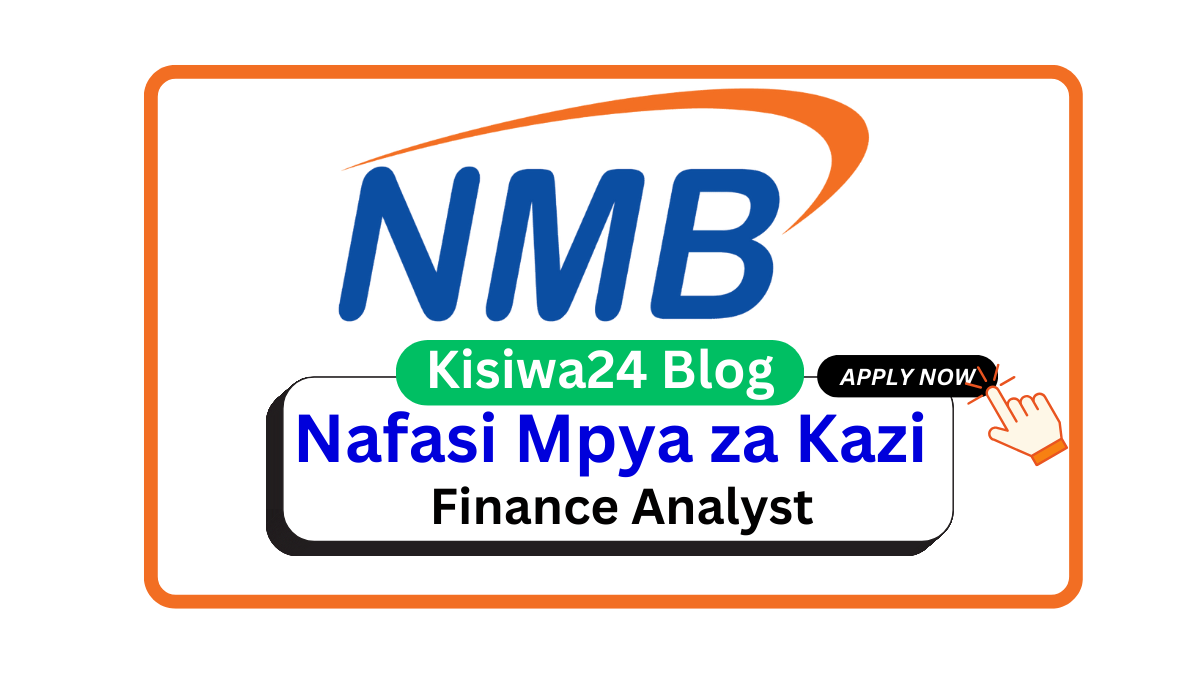 Nafasi za Kazi – Finance Analyst at NMB Bank March 2025