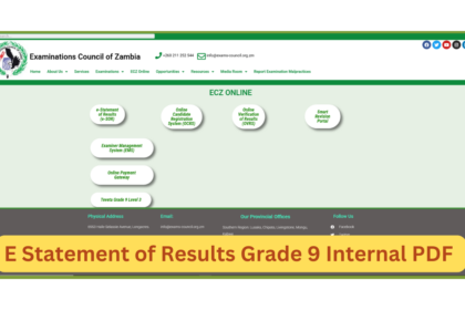 E Statement of Results Grade 9 Internal PDF