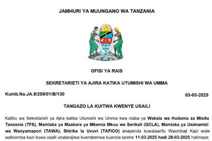 Tangazo la Kuitwa Kwenye Usaili Taasisi Mbalimbali za Umma March 2025
