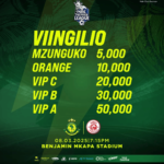 Viingilio Mechi ya Derby Yanga vs Simba 8 Machi 2025
