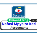 Nafasi 2 za Kazi - Accountants at Securex Security April 2025