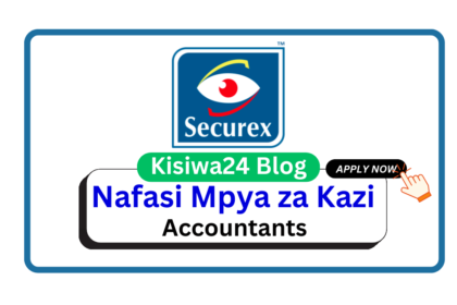 Nafasi 2 za Kazi - Accountants at Securex Security April 2025