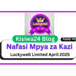 Collector Job Vacancy at Luckywell Limited April 2025