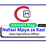 Nafasi za Kazi - Sales Operations Officer at Mbeyaone April 2025