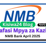 Nafasi 6 za Kazi at NMB Bank April 2025