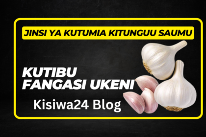 Jinsi ya Kutumia Kitunguu Saumu Kutibu Fangasi Ukeni
