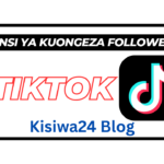 Jinsi Ya Kupata Followers Wengi TikTok