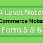 Commerce Notes For Advanced Level