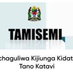 MAJINA Waliochaguliwa Kujiunga Kidato Cha Tano Katavi 2025