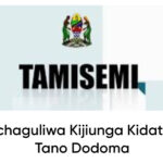 MAJINA Waliochaguliwa Kujiunga Kidato Cha Tano Dodoma 2025