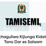 Waliochaguliwa Kujiunga Kidato Cha Tano Dar es Salaam 2025