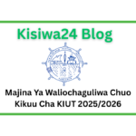 Majina Ya Waliochaguliwa Chuo Kikuu Cha DMI