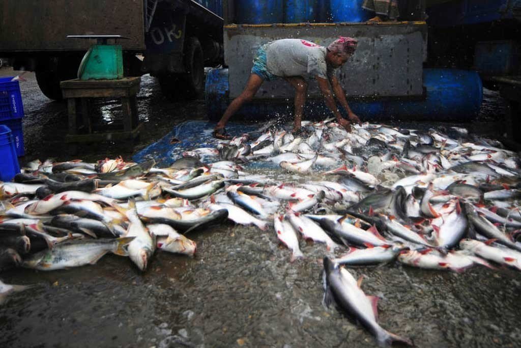 Biashara ya Samaki Wabichi