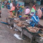 Biashara ya Samaki wa Kukaanga