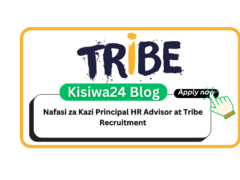 Nafasi za Kazi Principal HR Advisor at Tribe Recruitment