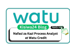 Nafasi za Kazi Process Analyst at Watu Credit