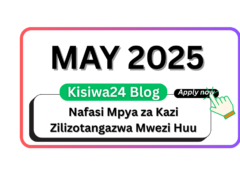 Nafasi za Kazi Zilizotangazwa Mwezi Huu May 2025