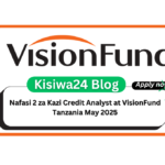 Nafasi 2 za Kazi Credit Analyst at VisionFund Tanzania May 2025