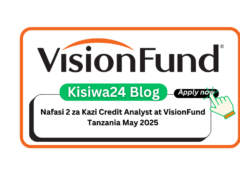 Nafasi 2 za Kazi Credit Analyst at VisionFund Tanzania May 2025