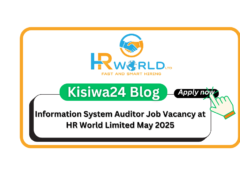 Information System Auditor Job Vacancy at HR World Limited May 2025