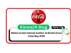 Nafasi za Kazi Internal Auditor at Bonite (Coca Cola) May 2025
