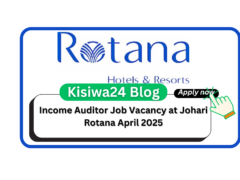 Income Auditor Job Vacancy at Johari Rotana MAY 2025