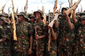 JINSI ya Kutuma Maombi ya Ajira za Jeshi la JWTZ 2025