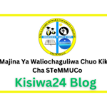 Majina Ya Waliochaguliwa Chuo Kikuu Cha STeMMUCo