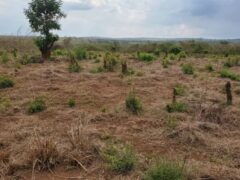 Mfano wa Mkataba wa Mauziano ya Shamba