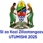 NAFASI za Kazi Zilizotangazwa Leo UTUMISHI 2025