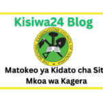 NECTA Matokeo ya Kidato cha Sita 20252026 Mkoa wa Kagera